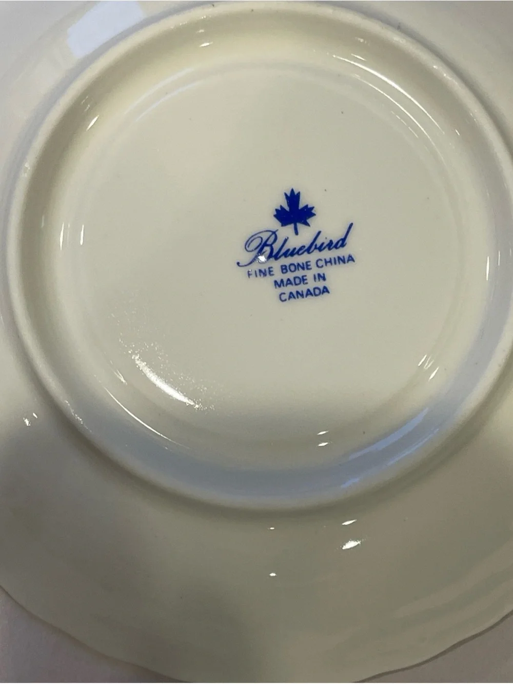 vtg Bluebird  Fine Bone China TEA CUP & SAUCER numbered FOOTED yellow roses